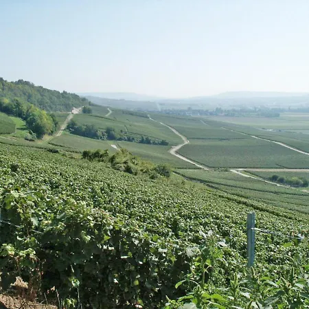 Du Vignoble شقة *